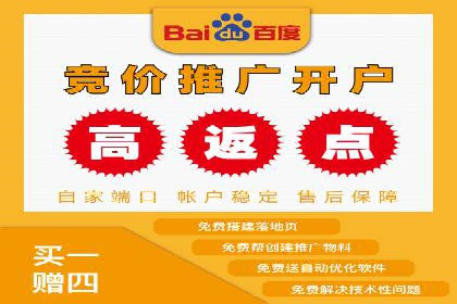 百度竞价推广的优化策略：一家科技公司的成功经验